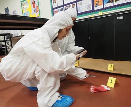 Forensic and Criminal Investigation 2