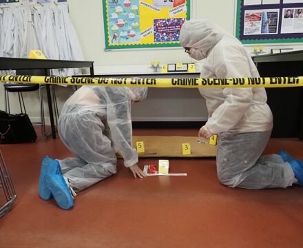 Forensic and Criminal Investigation 3