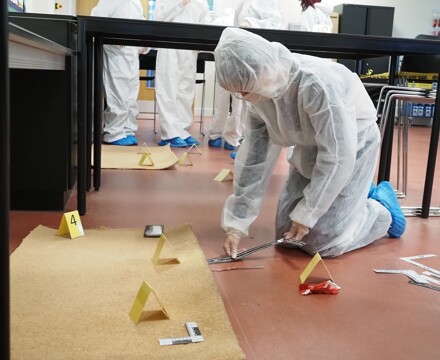 Forensic and Criminal Investigation 5