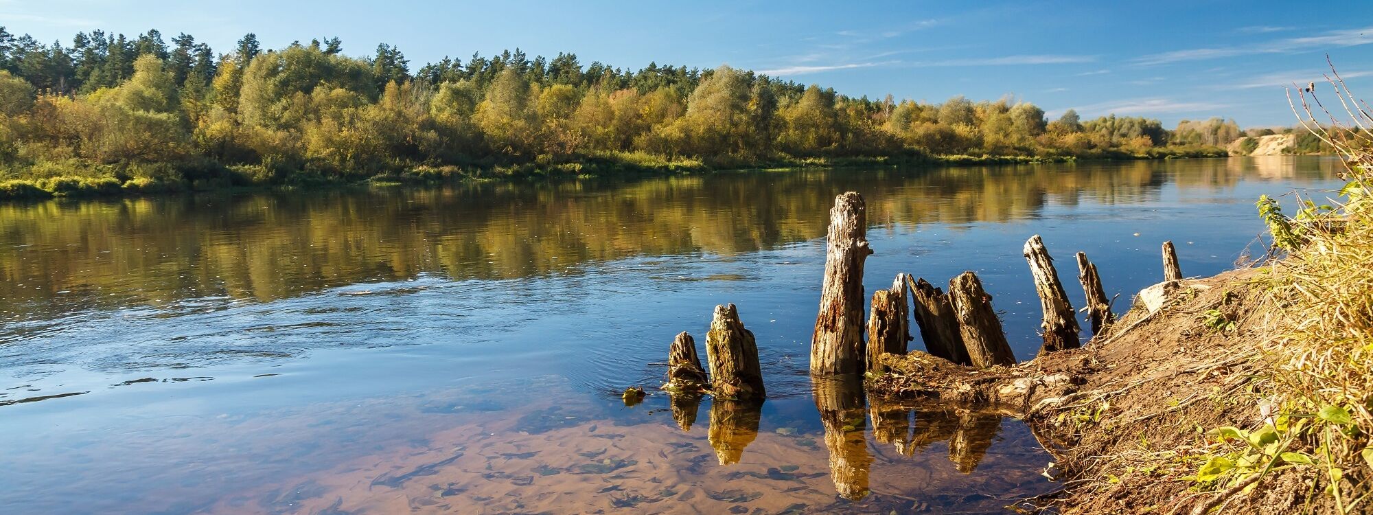 The remains of an old wooden bridge sticking out o 2023 11 27 05 02 27 utc