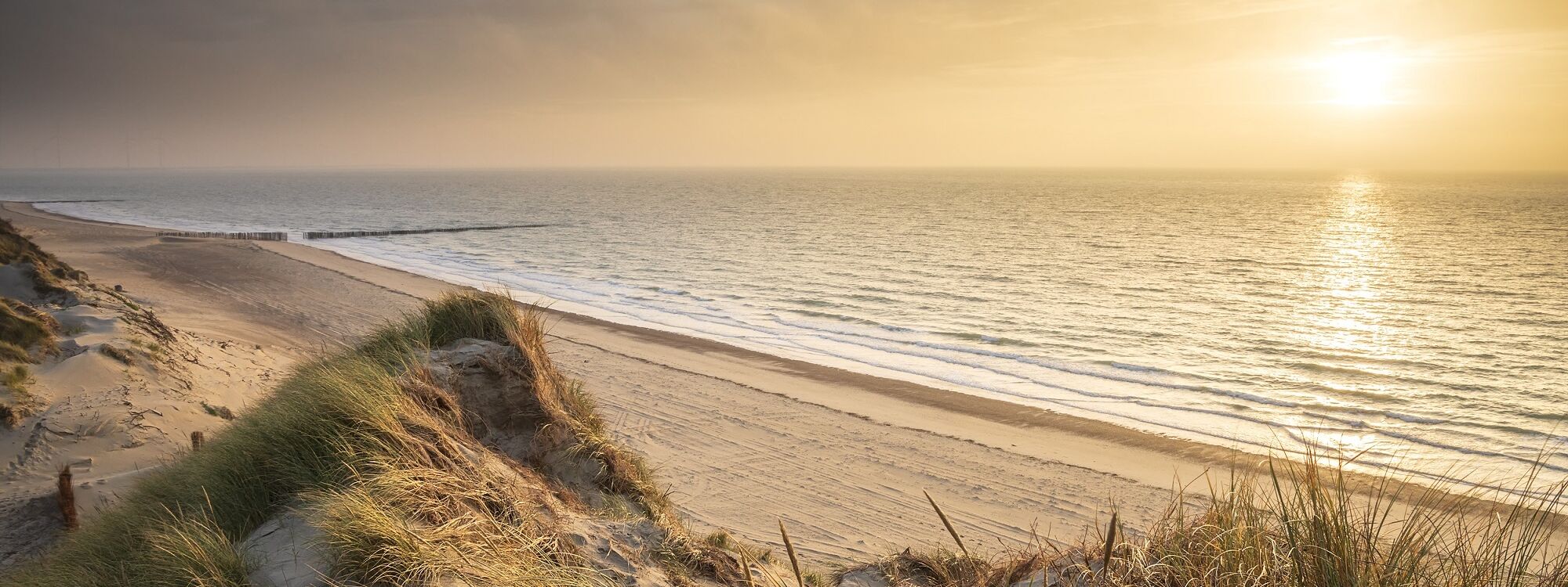 Sunset over sea beach 2026 01 07 00 08 49 utc