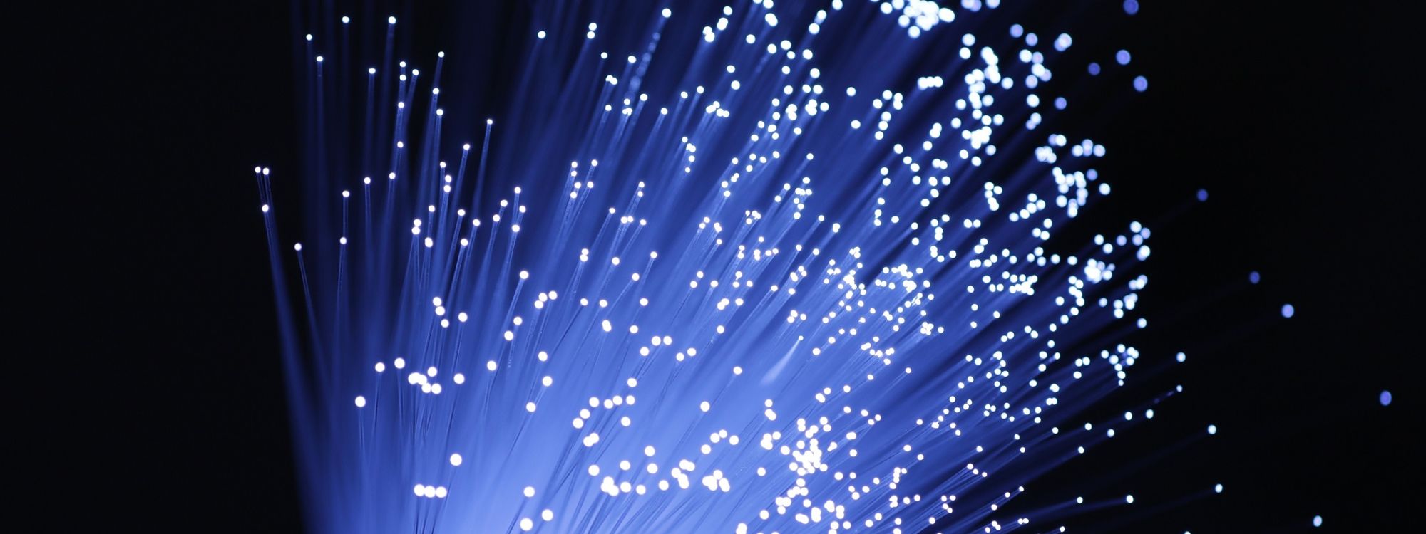 Fibre optic cables with light 2021 09 01 05 42 43 utc