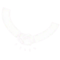 View student welfare